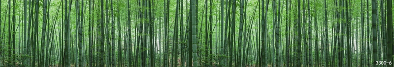 花鸟树枝横板